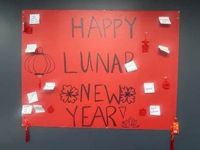 Lunar new year
