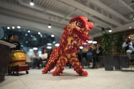 Lunar new year dragon